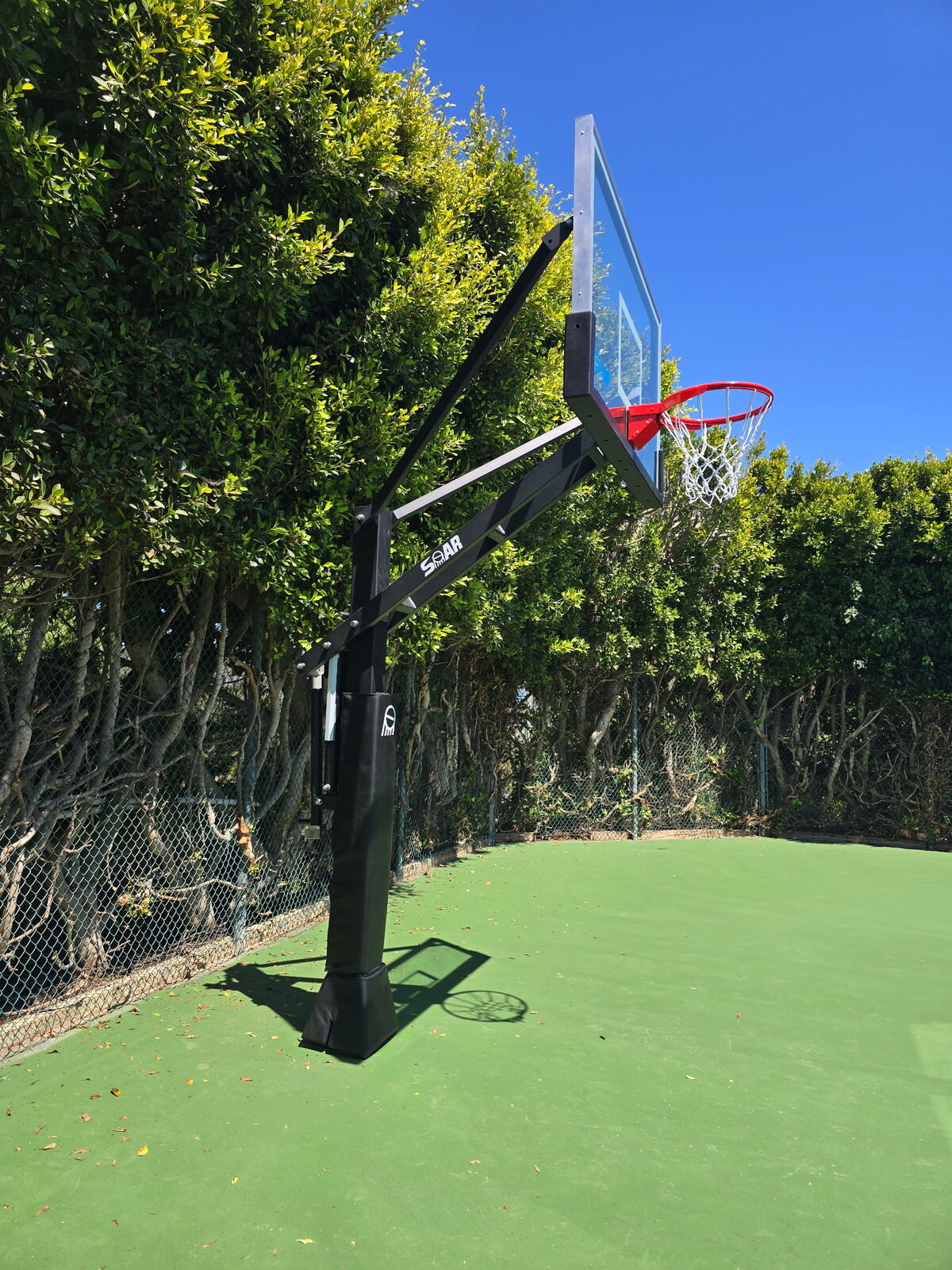 In-ground basketball hoop installed with mature tree canopy directly overhead
